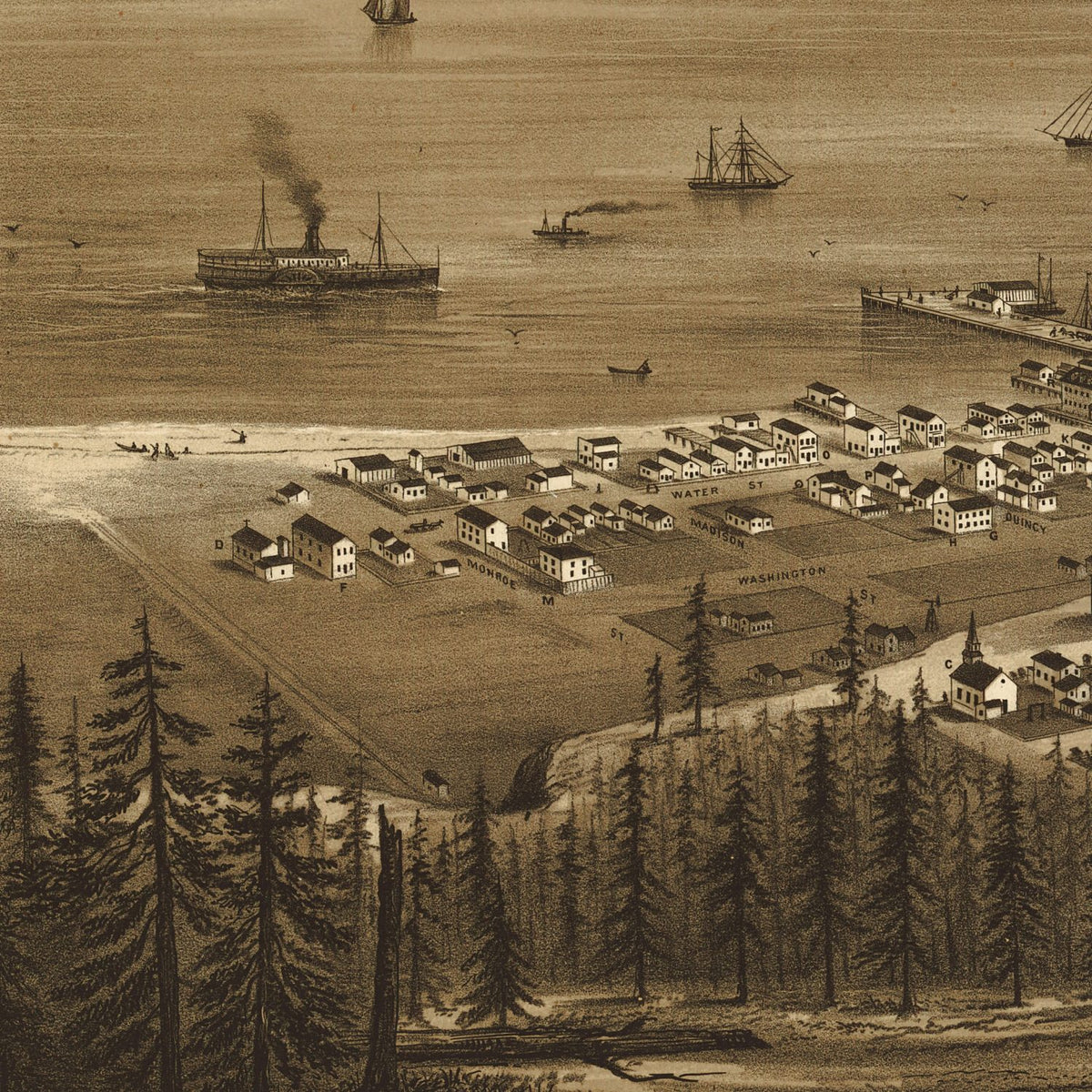 Close-up detail of the Port Townsend 1878 Panoramic Map print