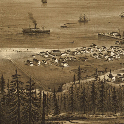 Close-up detail of the Port Townsend 1878 Panoramic Map print