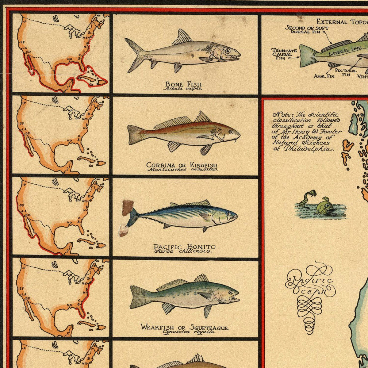 Close-up detail of the Saltwater Game Fishing 1936 Map