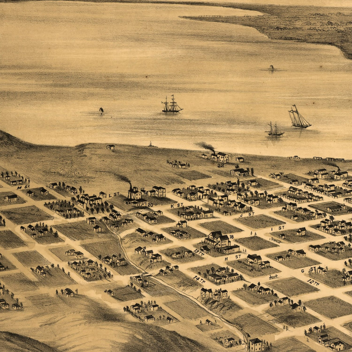 Close-up detail of the San Diego 1876 Panoramic Map print