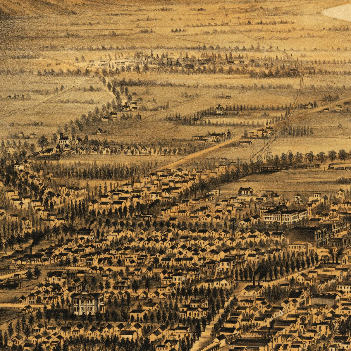 Close-up detail of the San Jose 1875 Panoramic Map print