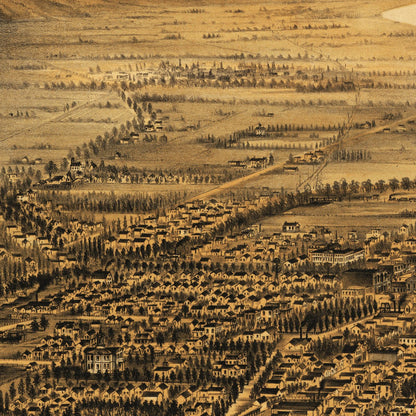 Close-up detail of the San Jose 1875 Panoramic Map print