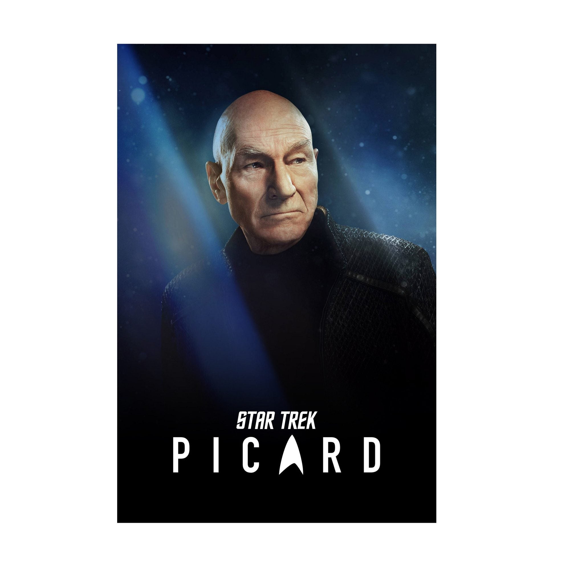 Star Trek: Picard poster print