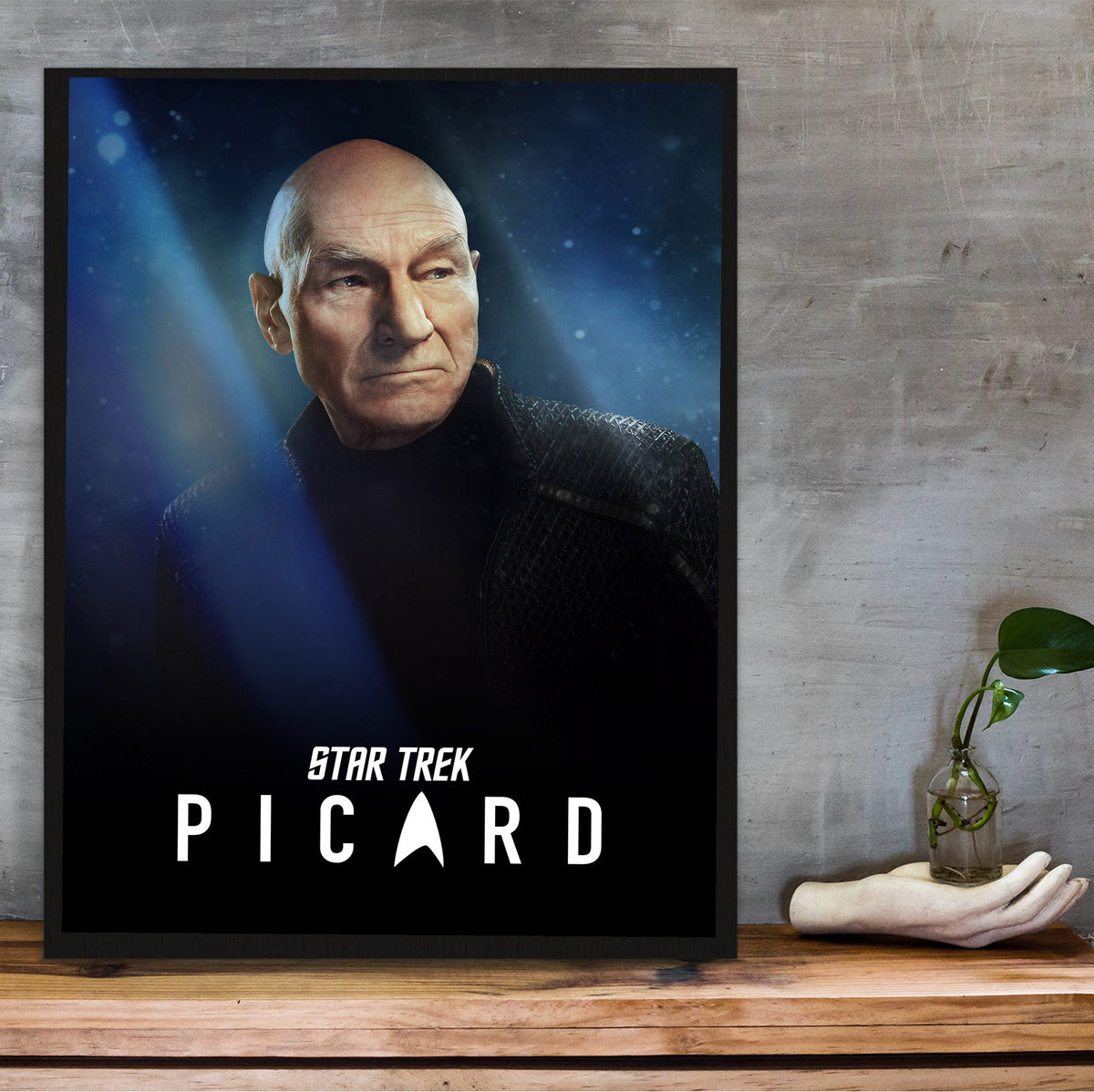 Star Trek: Picard poster in a black frame on a wooden shelf against concrete