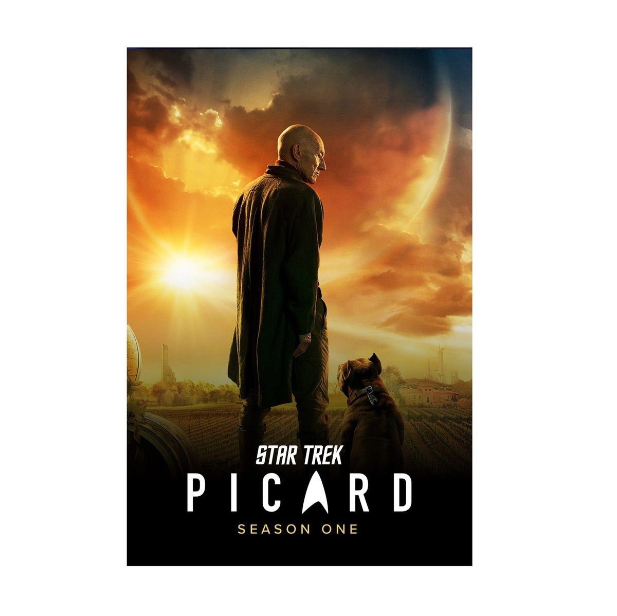 Star Trek: Picard poster print