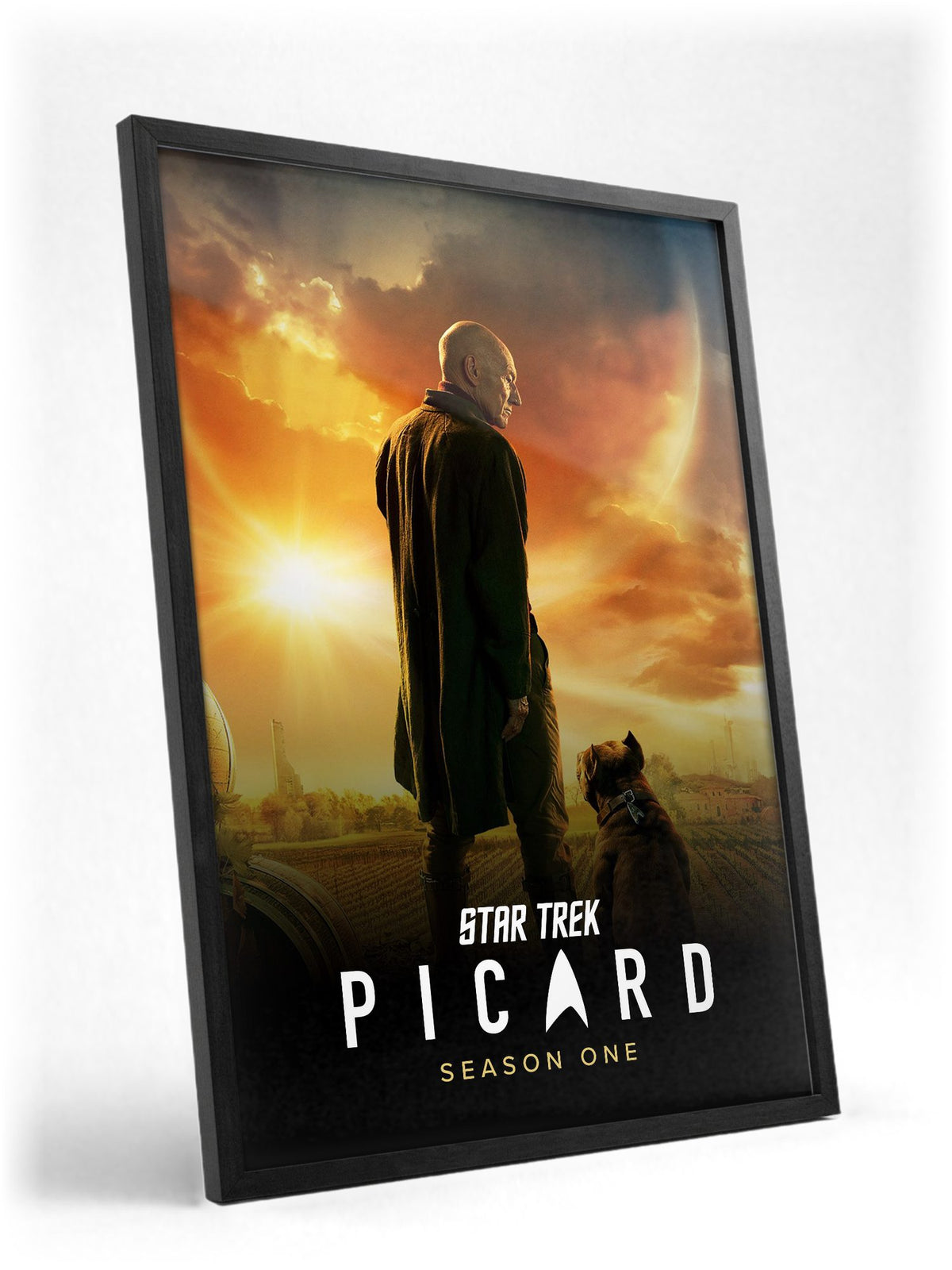 Star Trek: Picard poster in a black frame with glass leaning against a wall