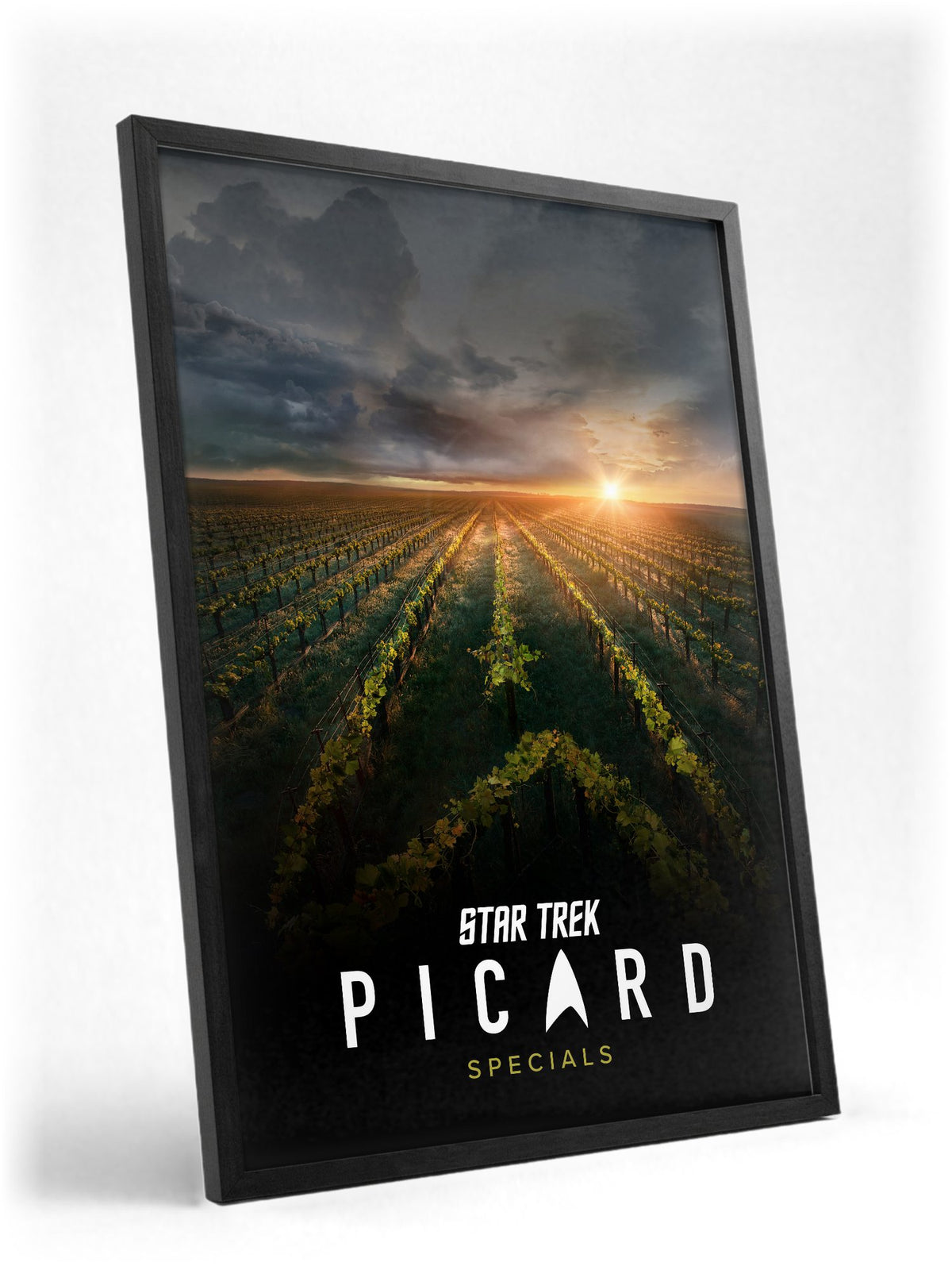 Star Trek: Picard poster in a black frame with glass leaning against a wall