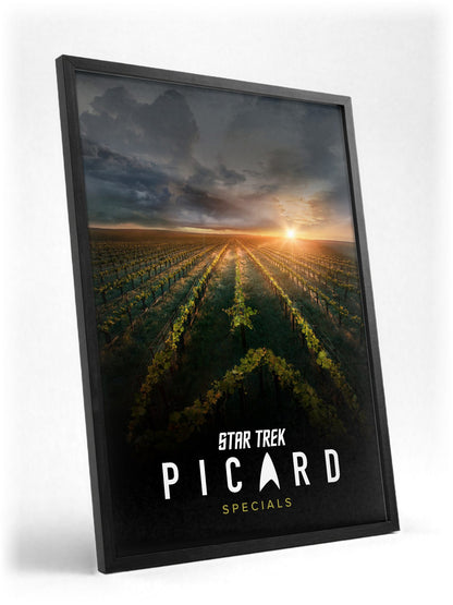 Star Trek: Picard poster in a black frame with glass leaning against a wall