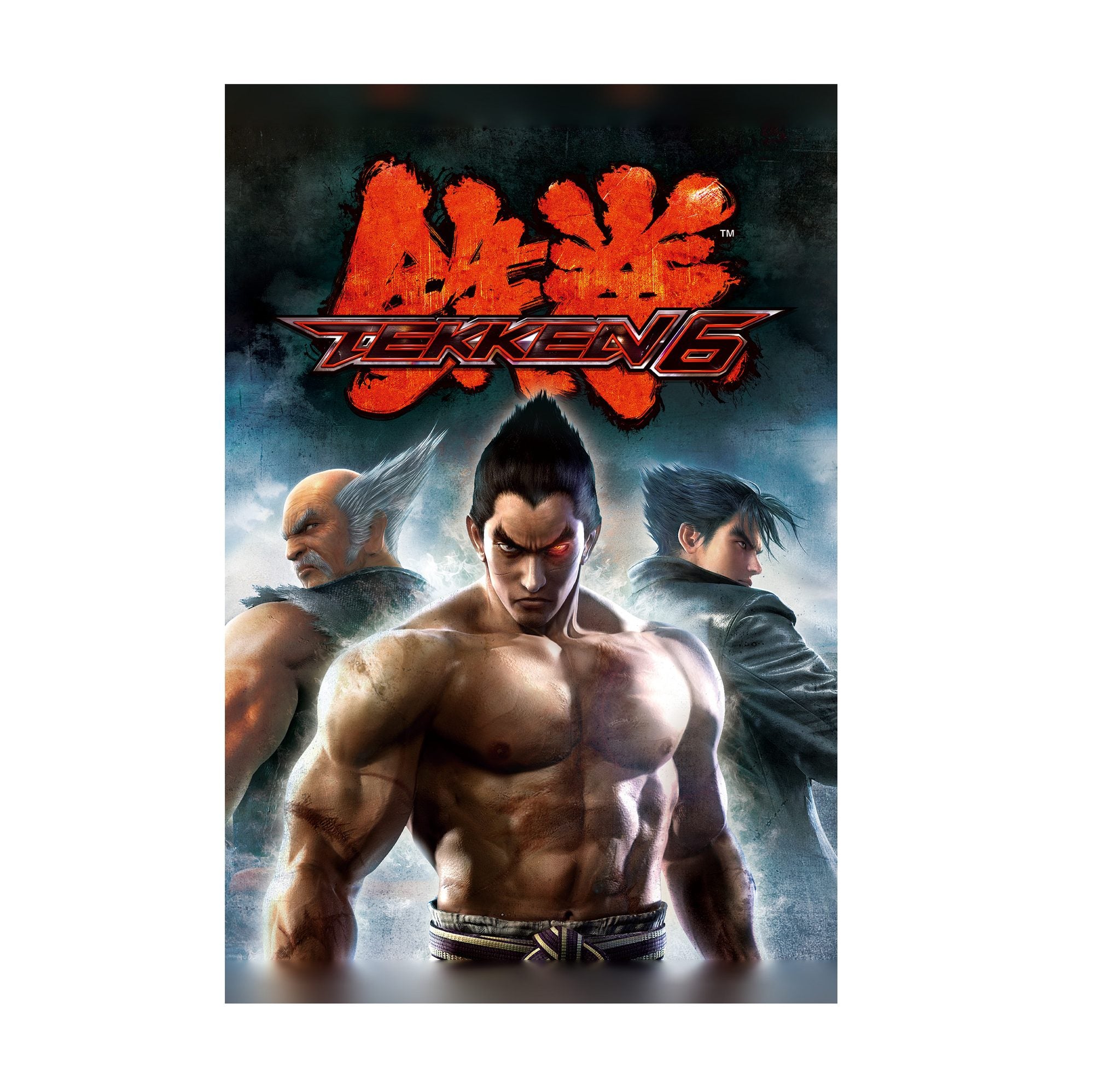 Tekken 6 Promo Art Print 2 poster print