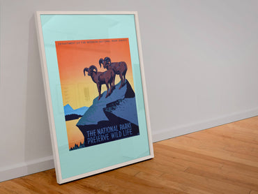 The National Parks Preserve Wild Life poster in a white frame leaning against a wall