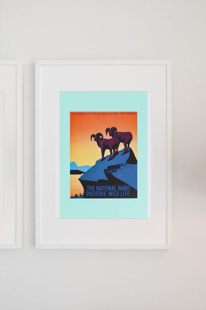 The National Parks Preserve Wild Life poster on a light wall