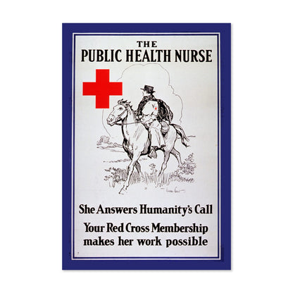 The Public Health Nurse poster print