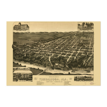 Tuscaloosa 1887 Panoramic Map poster print
