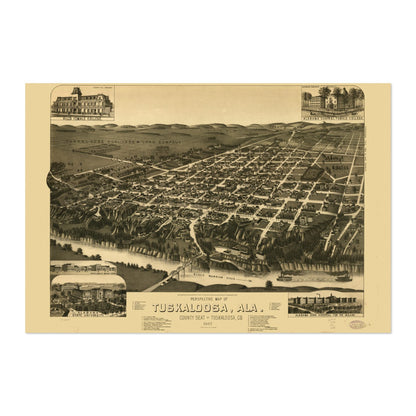 Tuscaloosa 1887 Panoramic Map poster print