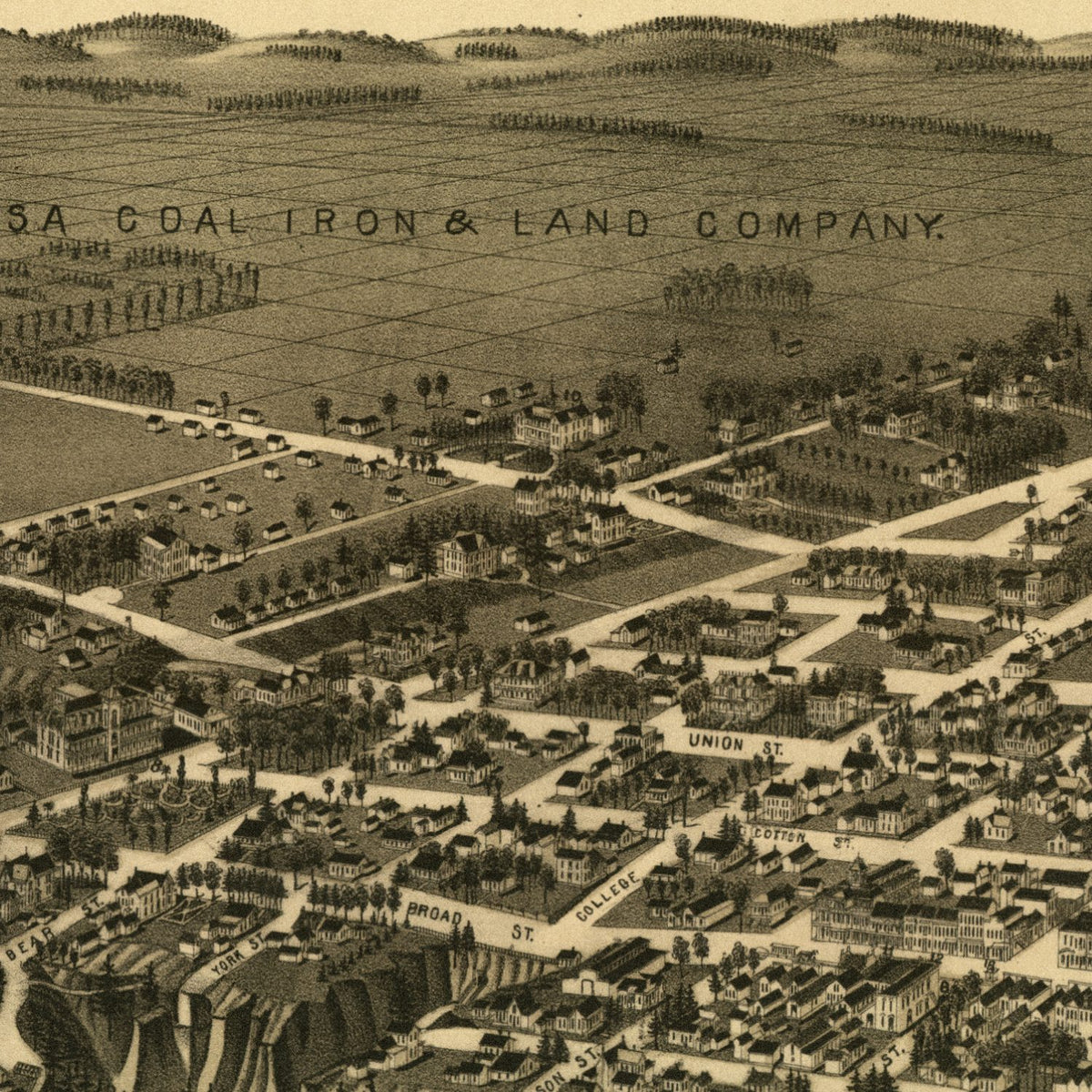 Close-up detail of the Tuscaloosa 1887 Panoramic Map print