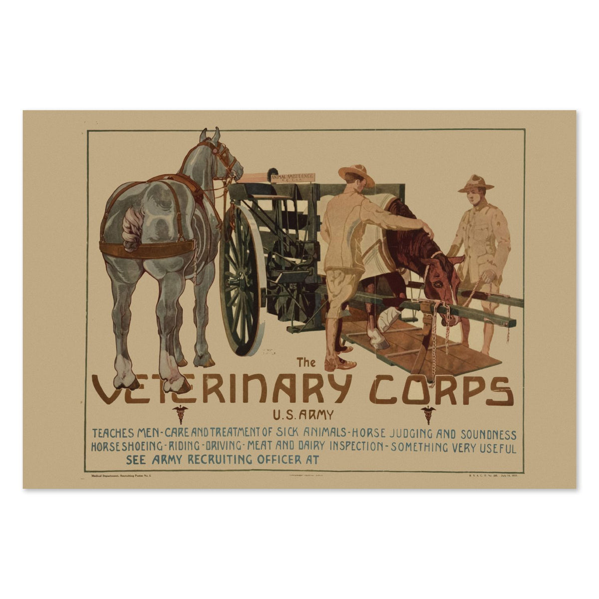 Veterinary Corps U.S. Army poster print