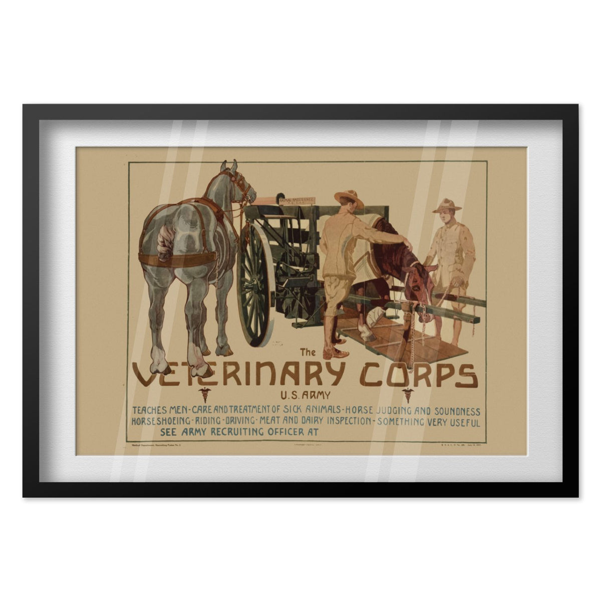 Veterinary Corps U.S. Army poster in a black frame