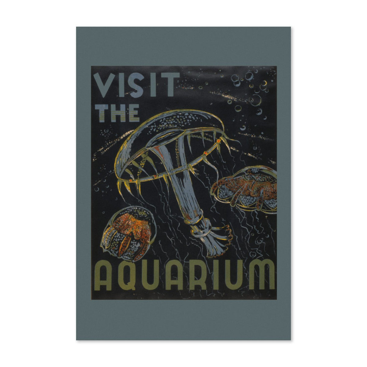 Visit the Aquarium Jellyfish poster print
