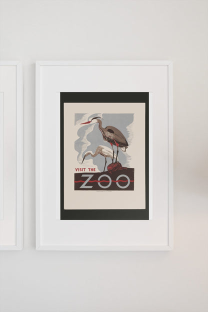 Visit the Zoo Herons poster on a light wall