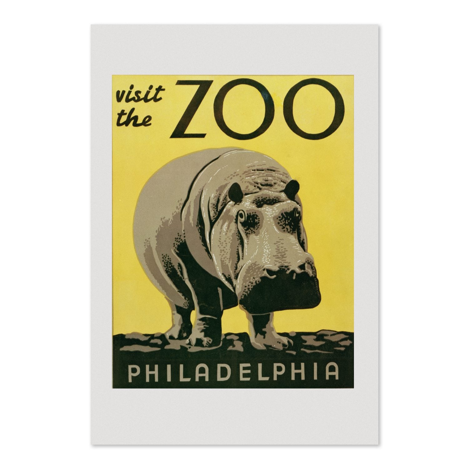 Visit the Zoo Philadelphia Hippo poster print