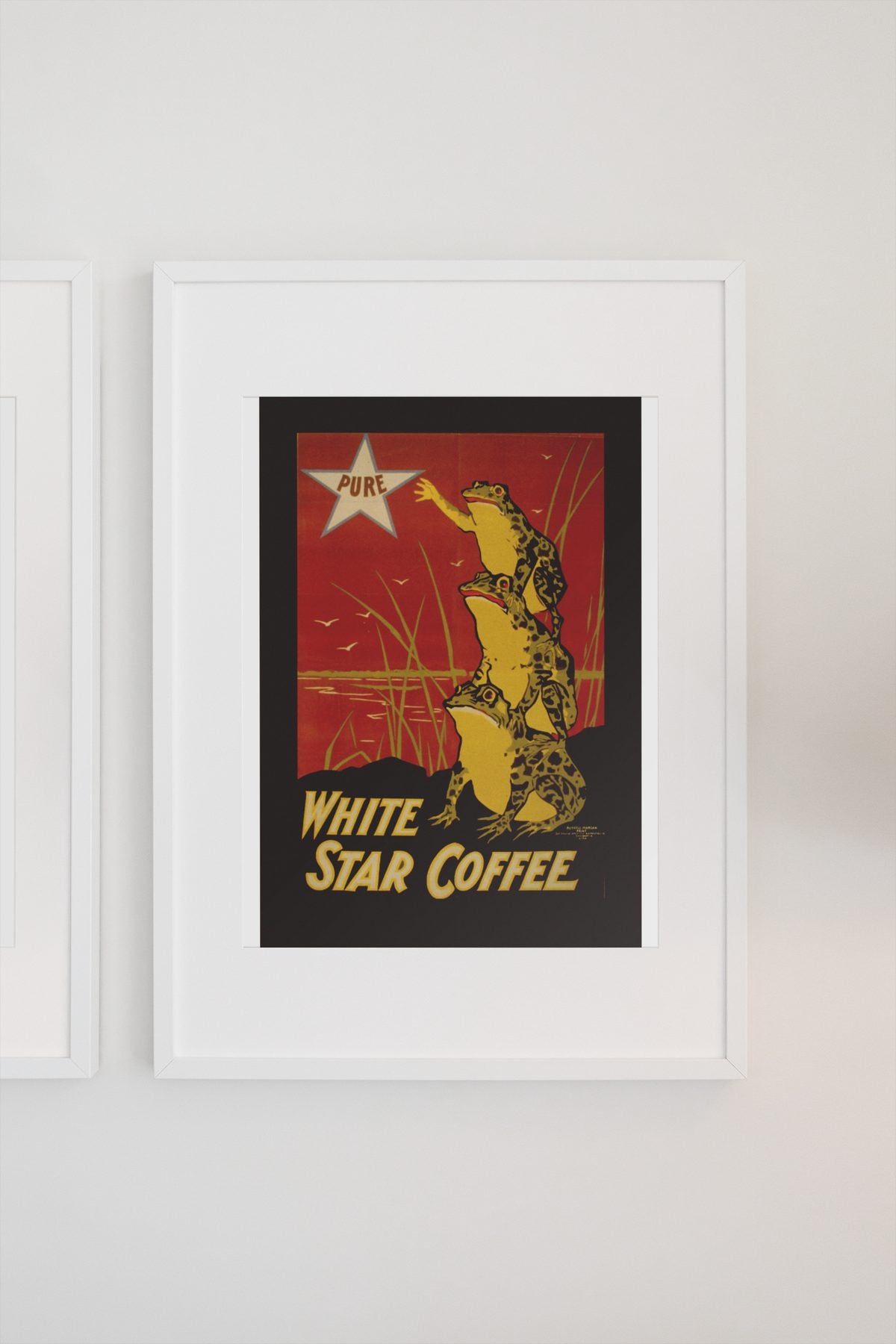 White Star Coffee Frogs poster on a light wall
