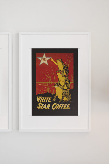 White Star Coffee Frogs poster on a light wall