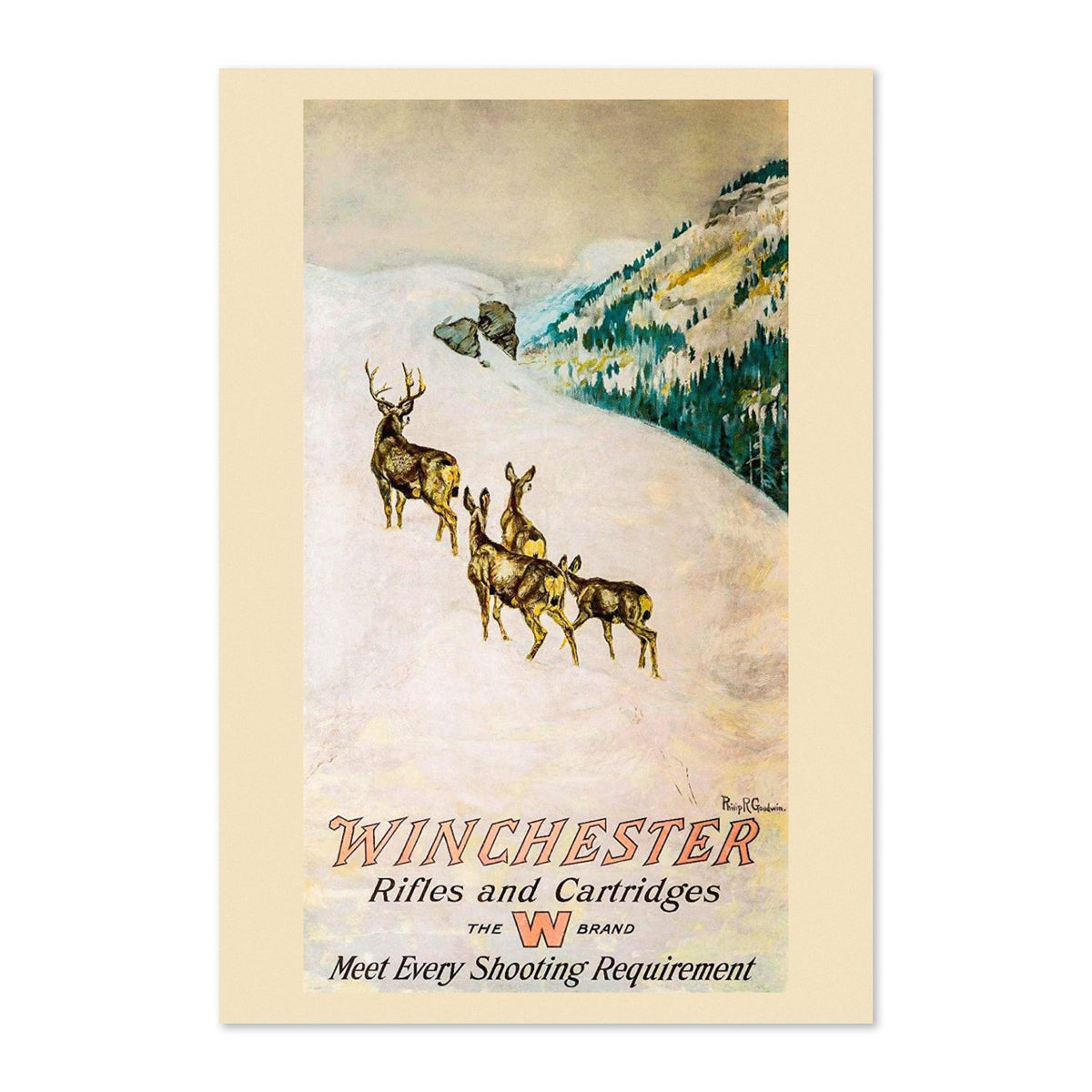 Winchester Rifles and Cartridges — Deer poster print