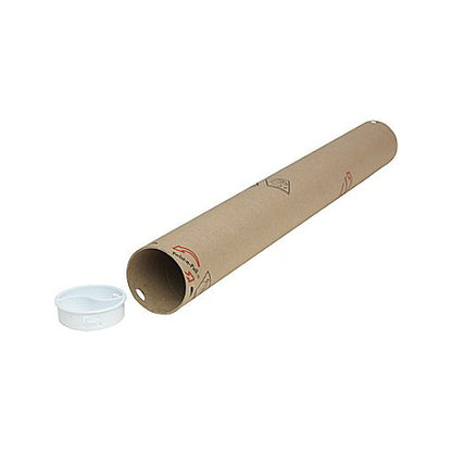 Devil May Cry Anime Poster